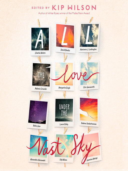 Title details for All the Love Under the Vast Sky by Kip Wilson - Wait list